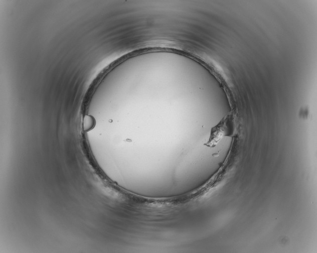 X0000091571125200709051033
