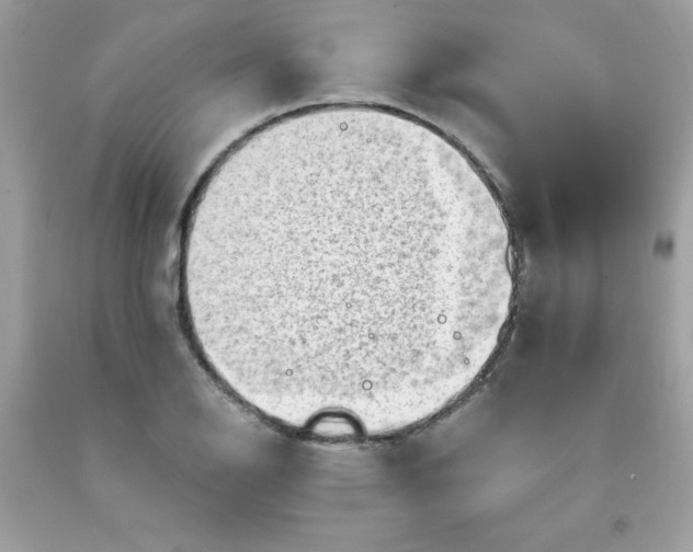 X0000091571126200709051033