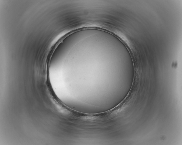 X0000091571127200709051033