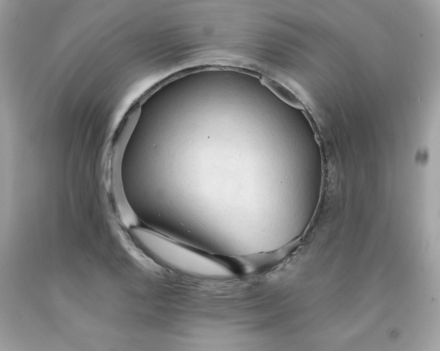 X0000091571128200709051033