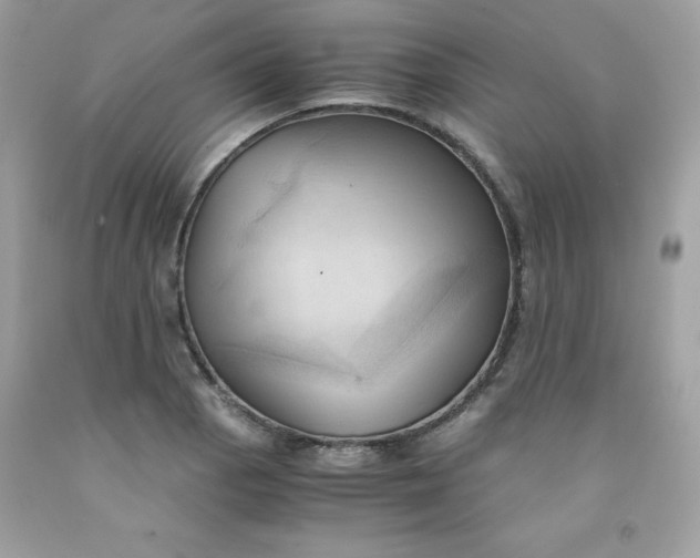 X0000091571129200709051033