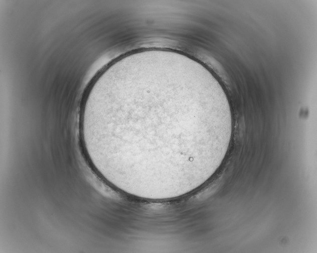 X0000091571130200709051033