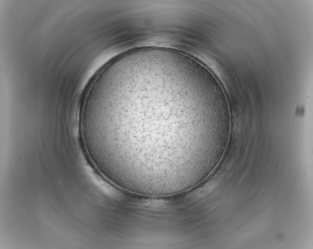 X0000091571131200709051033