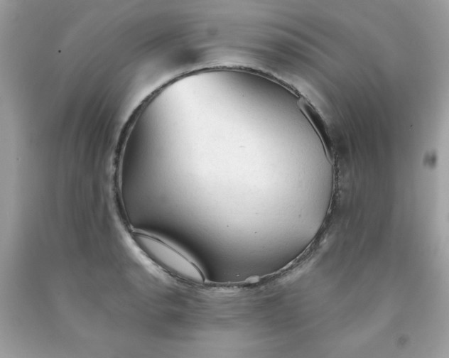 X0000091571134200709051033