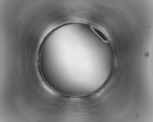X0000091571136200709051033