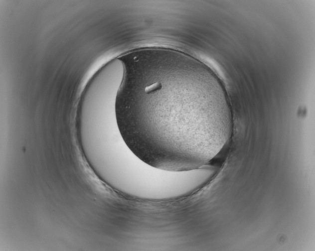 X0000091571138200709051033