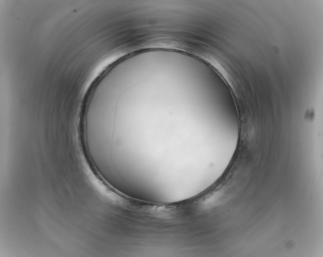 X0000091571139200709051033