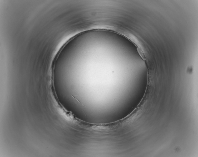 X0000091571140200709051033