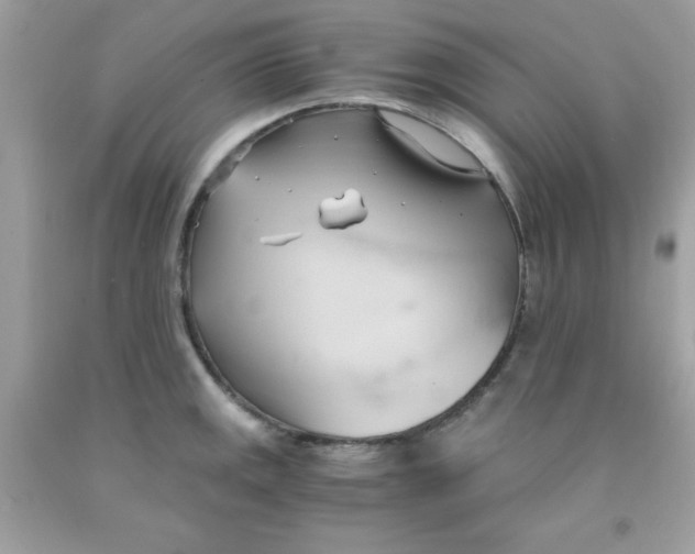 X0000091571141200709051033