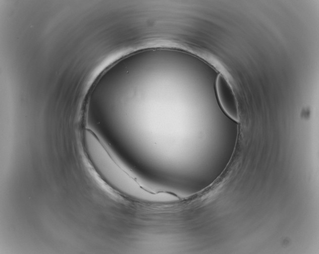 X0000091571142200709051033