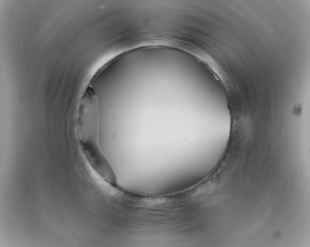 X0000091571143200709051033