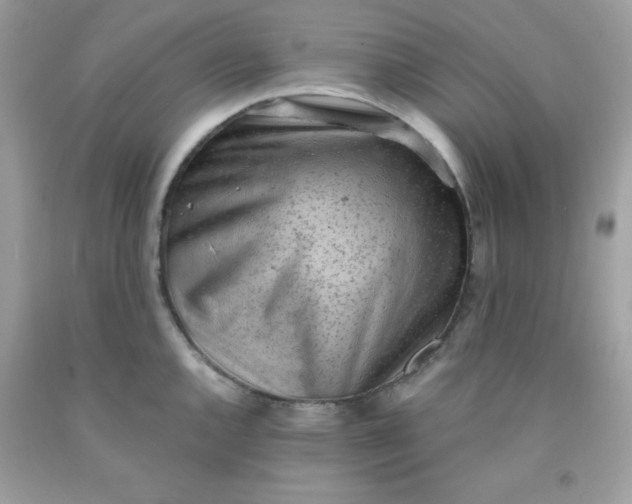 X0000091571144200709051033