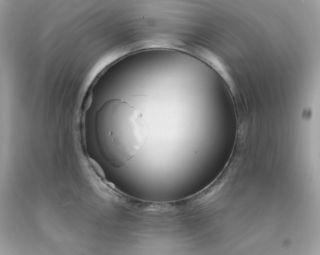 X0000091571146200709051033