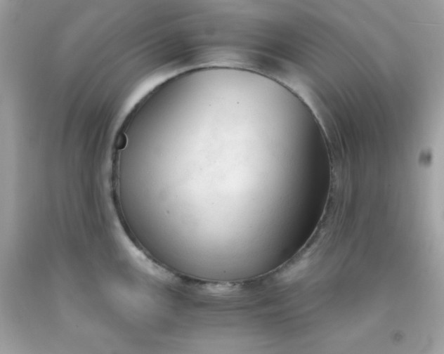 X0000091571147200709051033