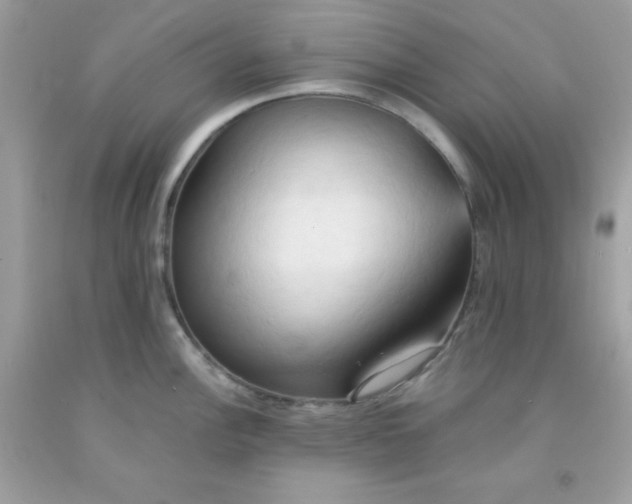 X0000091571148200709051033