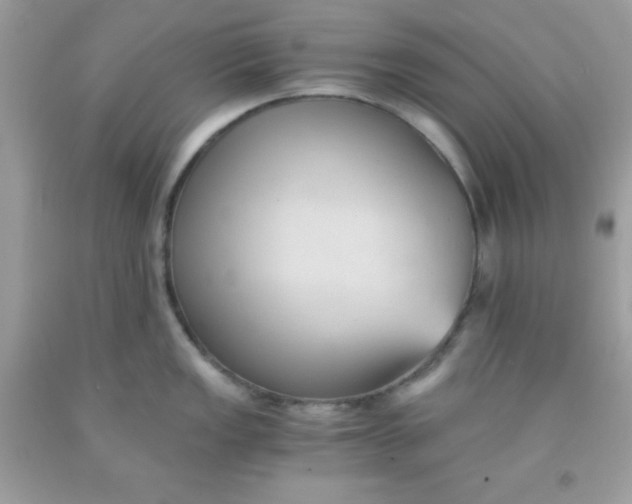 X0000091571149200709051033