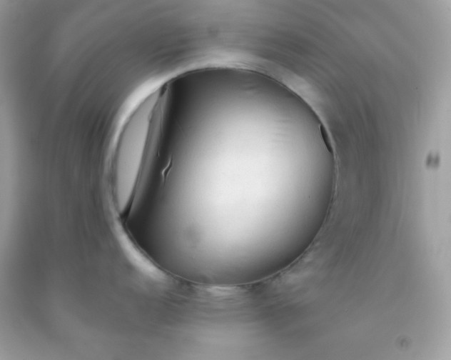 X0000091571152200709051033