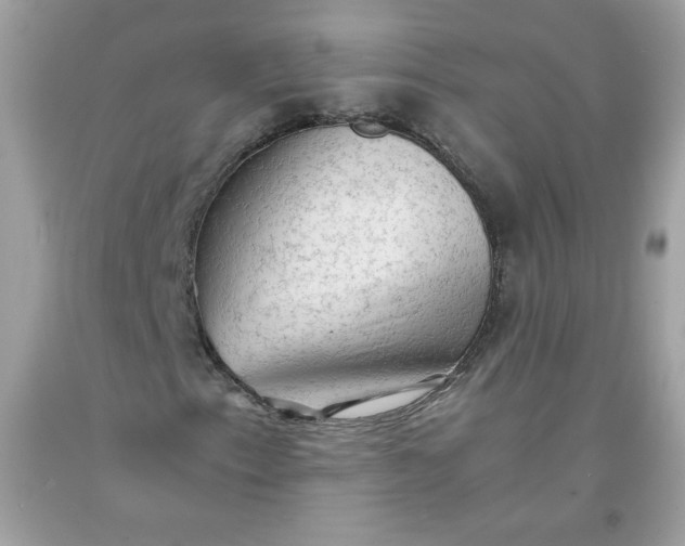 X0000091571153200709051032
