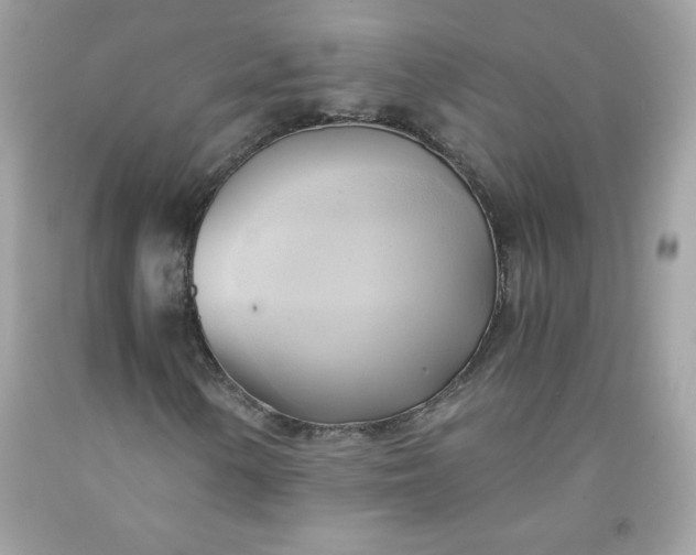 X0000091571154200709051032