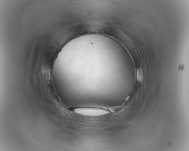 X0000091571155200709051032