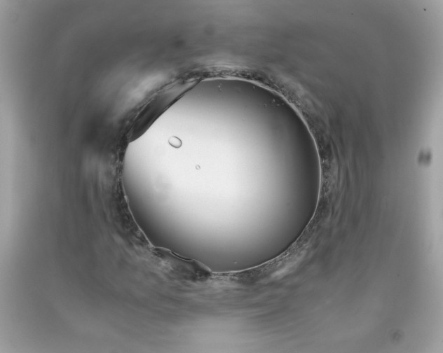 X0000091571157200709051032