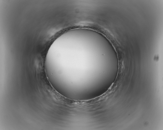 X0000091571158200709051032