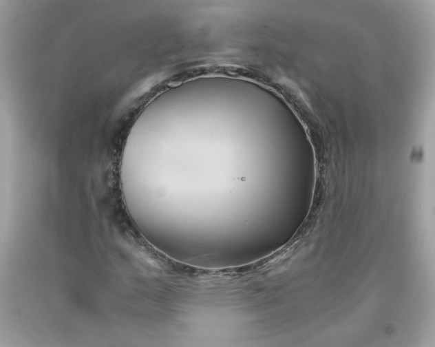 X0000091571159200709051032