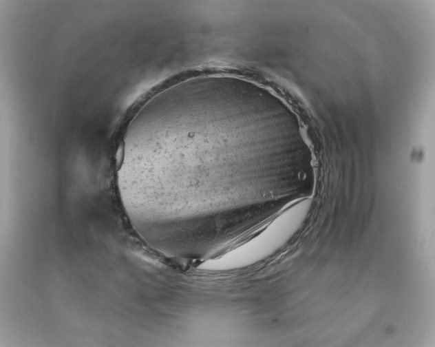 X0000091571160200709051032