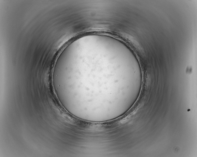 X0000091571162200709051032