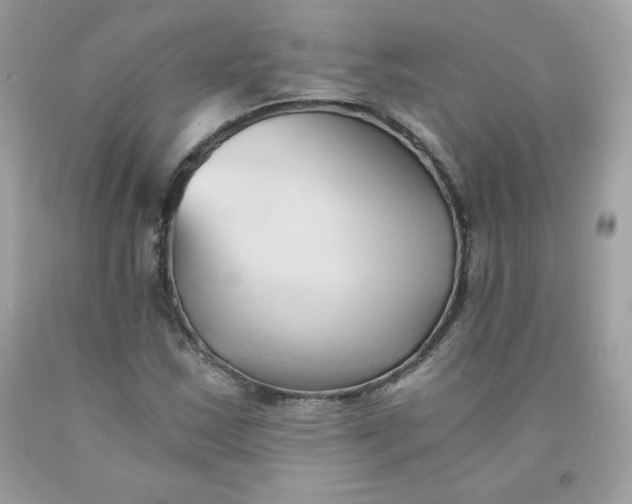 X0000091571163200709051032