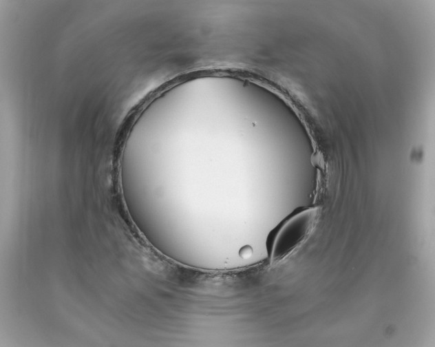 X0000091571165200709051032
