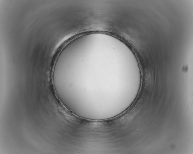 X0000091571166200709051032