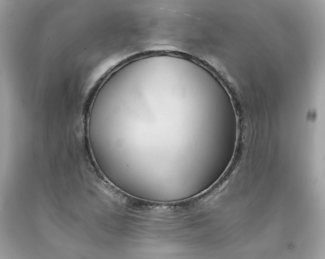 X0000091571167200709051032