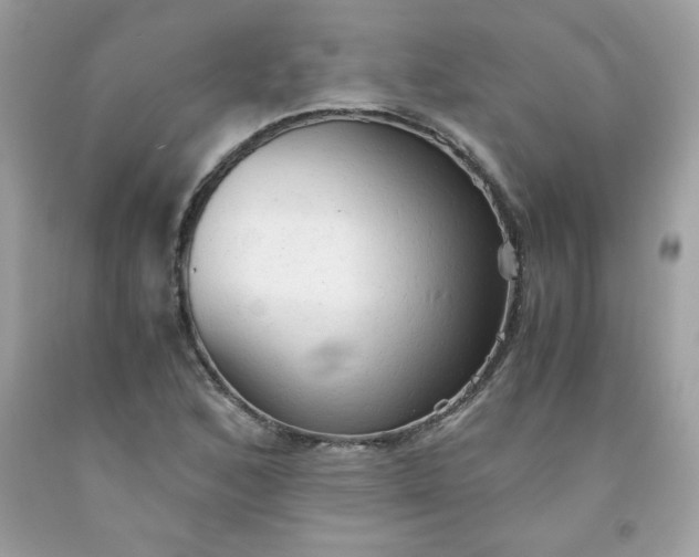 X0000091571168200709051032