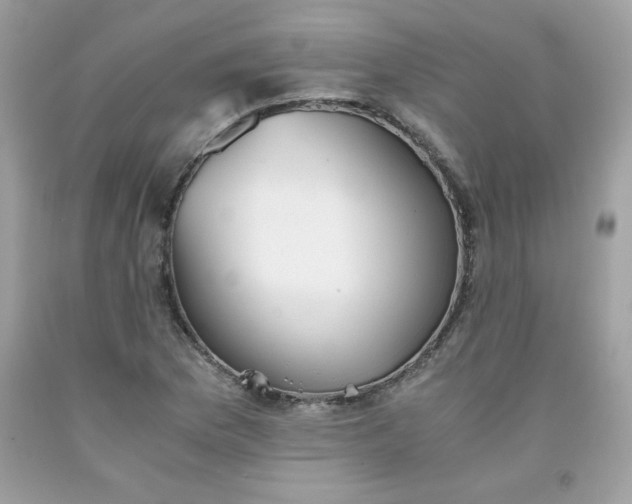 X0000091571169200709051032