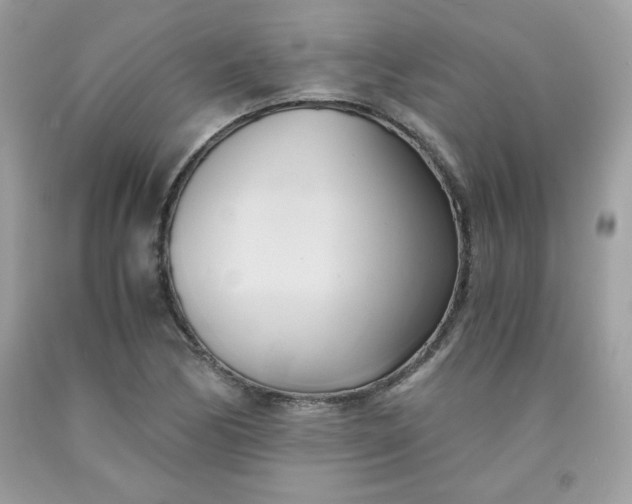 X0000091571170200709051032