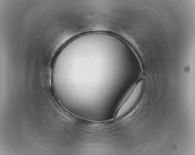 X0000091571171200709051032