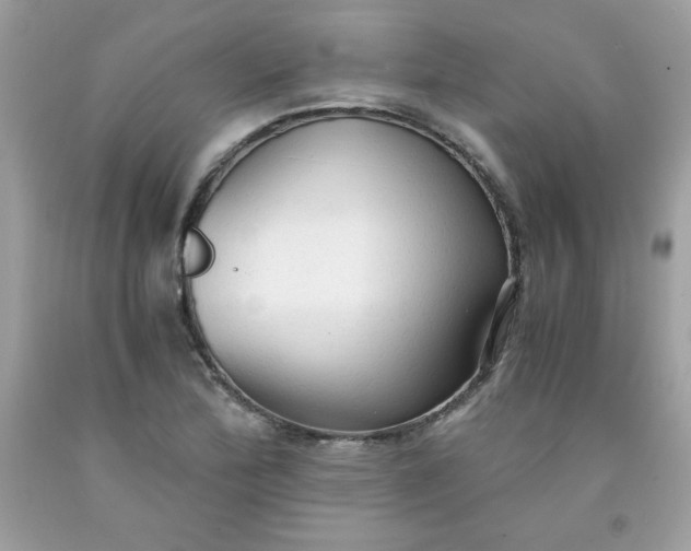 X0000091571172200709051032
