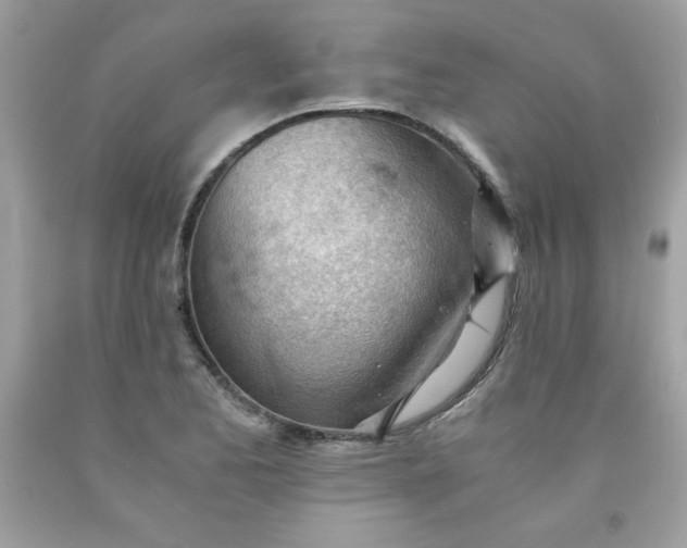 X0000091571173200709051032