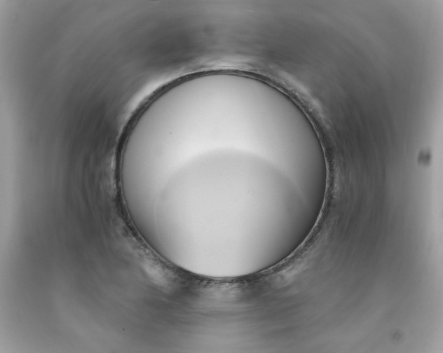 X0000091571174200709051032