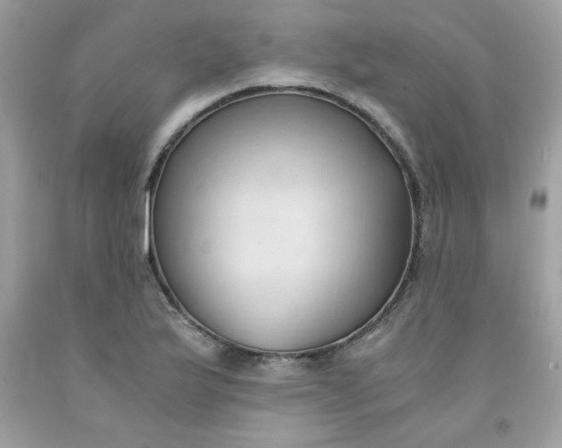 X0000091571175200709051032