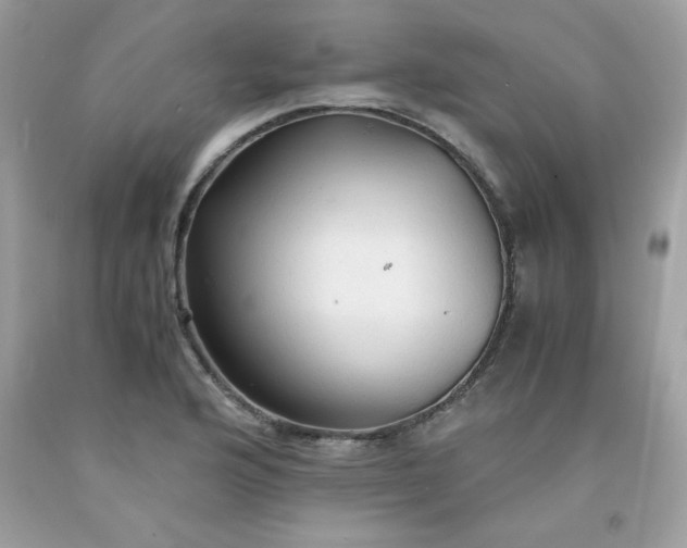 X0000091571176200709051032
