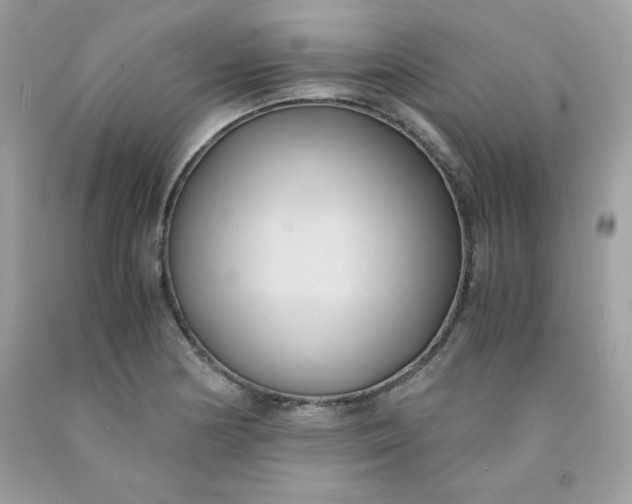 X0000091571178200709051032
