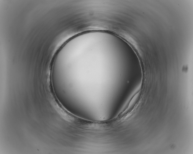 X0000091571179200709051032