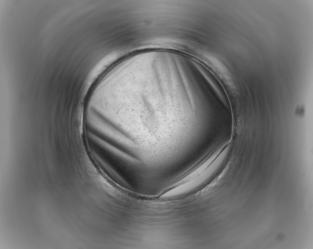 X0000091571180200709051032