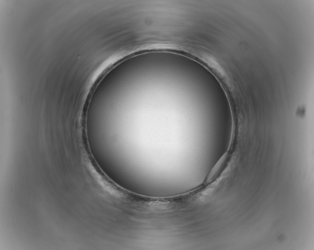 X0000091571181200709051032