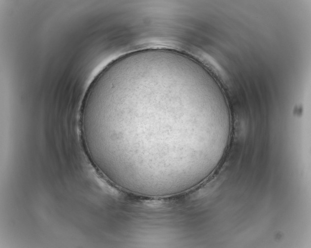 X0000091571182200709051032