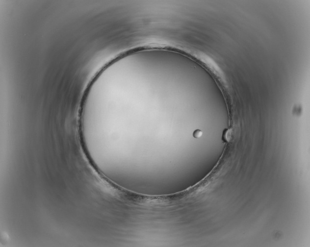 X0000091571183200709051032