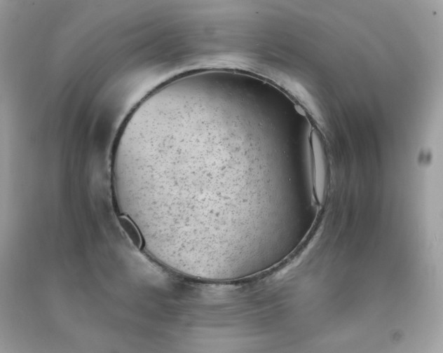 X0000091571184200709051032