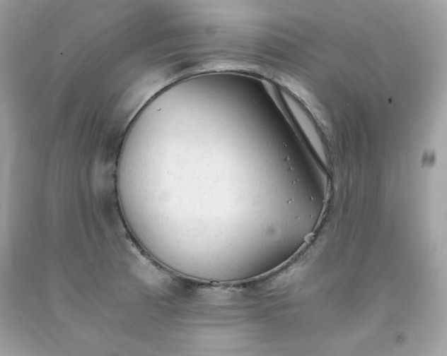 X0000091571185200709051032